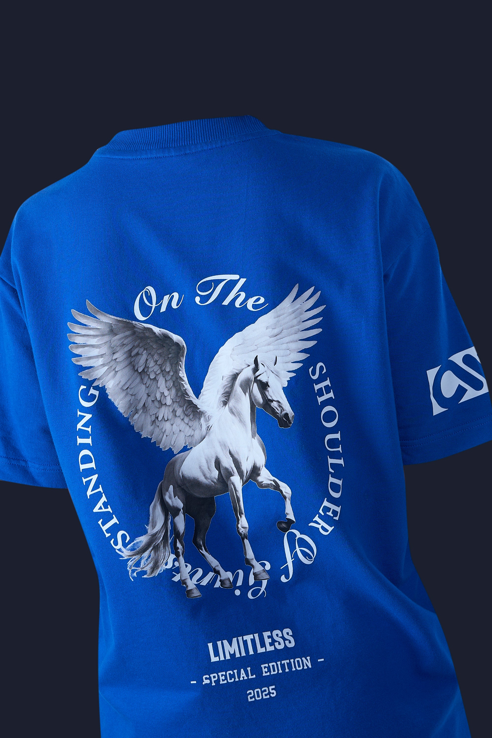 “Winged horse” tee